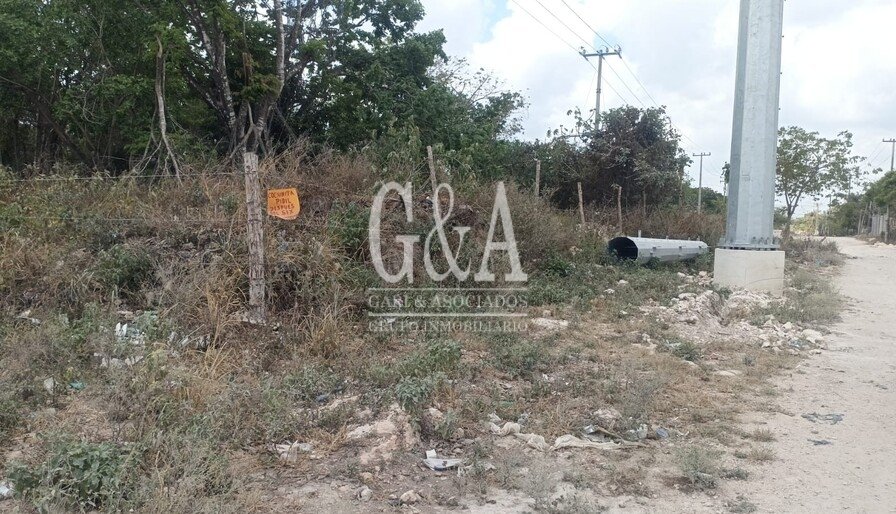 Cancún Av. Centenario