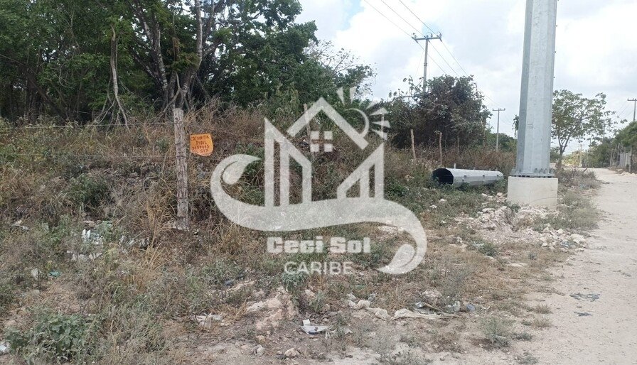 Cancún Av. Centenario