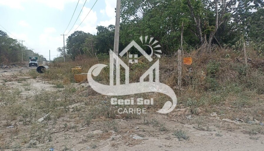 Cancún Av. Centenario